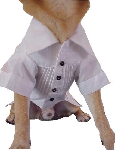 http://www.adanieves.com/cgi-bin/util/sitebuilder/edit_page?editpage=dogshirts.html#